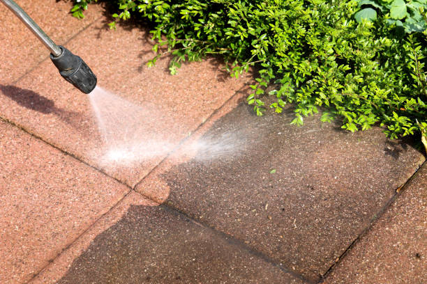 Best Commercial Building Pressure Washing  in Nedrow, NY
